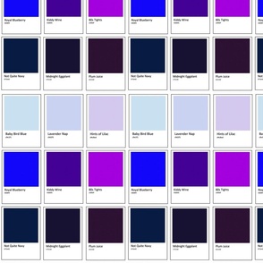 Paint Samples (Blue/Purple)