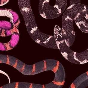 large snakes pink on black