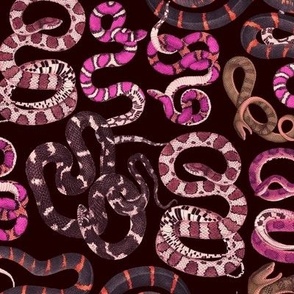 small snakes pink on black