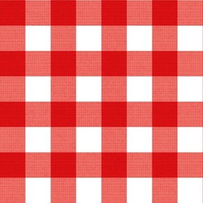 Normal scale // Gingham check coordinate // white vivid red and coral