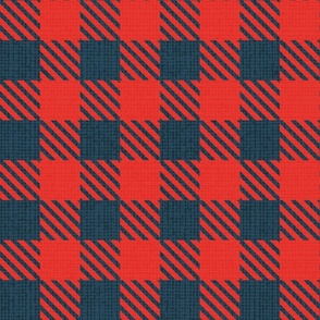 Normal scale // Reworked shepherd’s check coordinate // nile blue and neon red classic border tartan