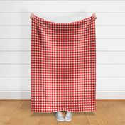 Small scale // Gingham check coordinate // white vivid red and coral