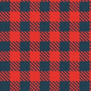 Small scale // Reworked shepherd’s check coordinate // nile blue and neon red classic border tartan