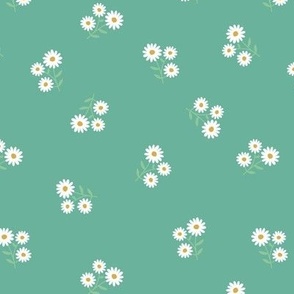 Sweet daisy minimalist blossom bouquet flowers and leaves garden wildflower branches on teal