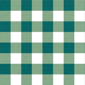 Normal scale // Gingham check coordinate // white pine and jade green