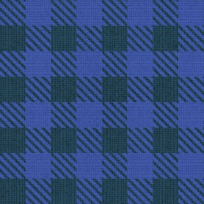 Normal scale // Reworked shepherd’s check coordinate // nile blue and electric blue classic border tartan