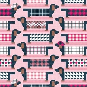 Small scale // Cheerful doxies check! // pastel pink background carrisma blush and fuchsia pink checks dog winter clothes nile blue and brown geometric dachshund puppies 