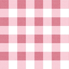 Normal scale // Gingham check coordinate // white blush and pastel pink