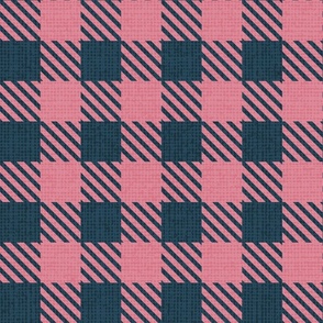 Normal scale // Reworked shepherd’s check coordinate // nile blue and carissma pink classic border tartan