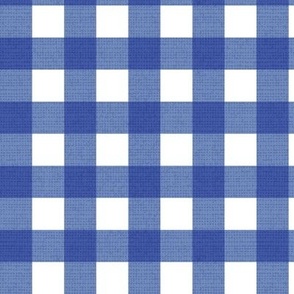 Small scale // Gingham check coordinate // white and electric blue