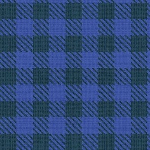 Small scale // Reworked shepherd’s check coordinate // nile blue and electric blue classic border tartan