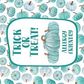 Large 27x18 Panel Teal Pumpkin Food Allergy Safe Trick or Treat Halloween Sign Flag or Wall Hanging 