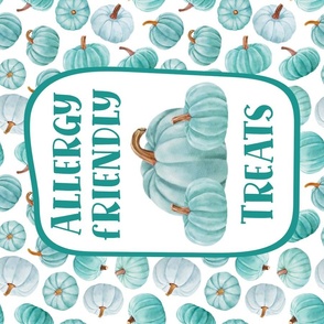 Large 27x18 Panel Teal Pumpkin Food Allergy Safe Trick or Treat Halloween Sign Flag or Wall Hanging 