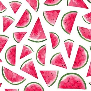 bright summer watercolour watermelon