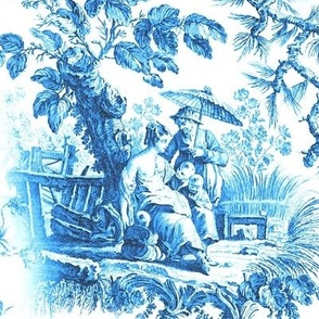 Toile,blue pattern 