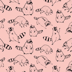 Cute hand drawn raccoons on a blush pink background 