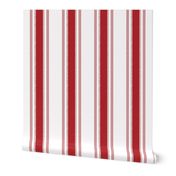 French Ticking in rouge