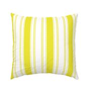 French Ticking in citron