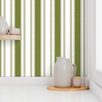 French Ticking in olive