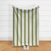 French Ticking in olive