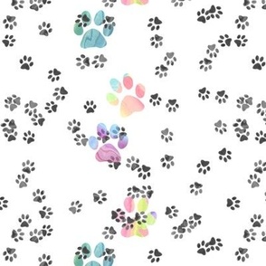 Pawprints in Color and Black and White