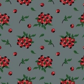 Christmas berries Toyon 2