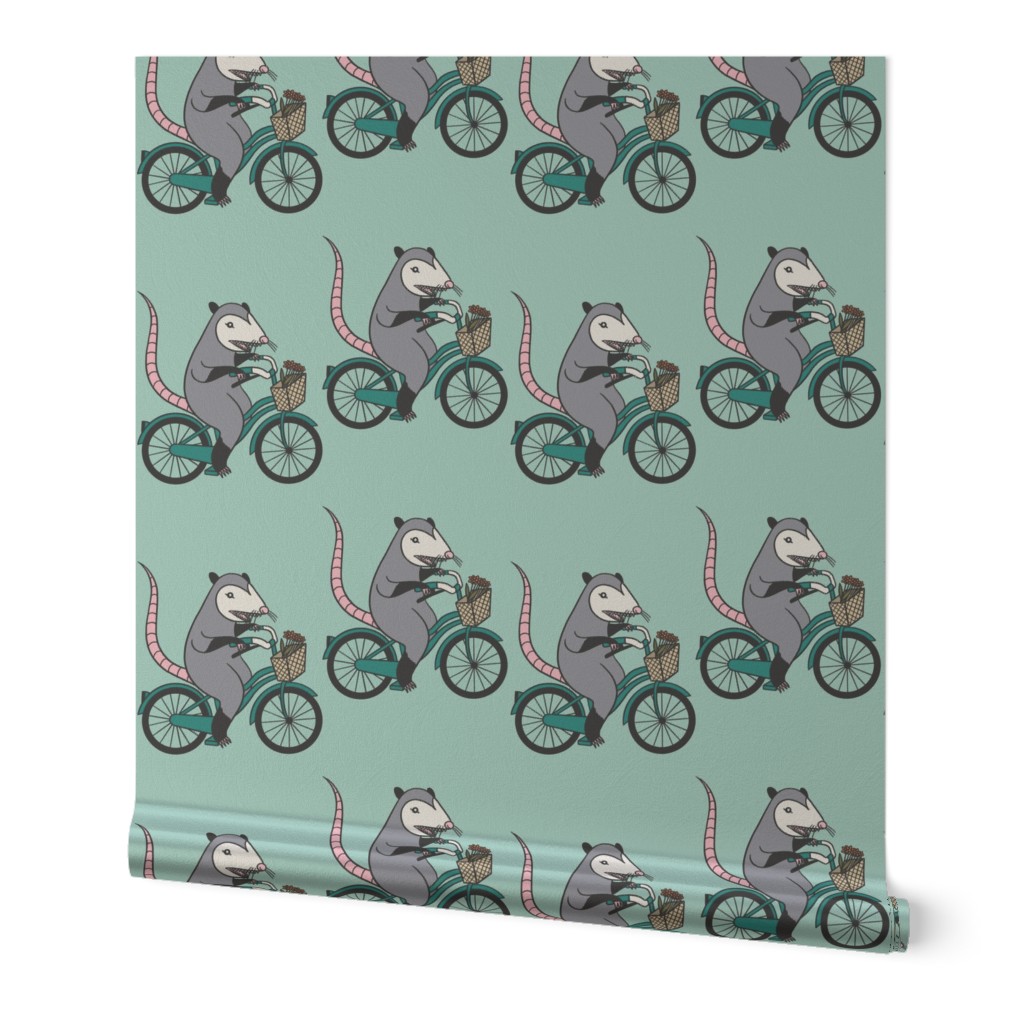 Possum on a Bicycle