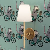 Possum on a Bicycle