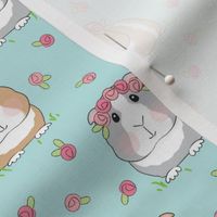 medium guinea pigs with roses on dusty teal