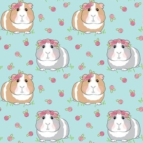 medium guinea pigs with roses on dusty teal