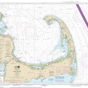 NOAA Cape Cod nautical chart #13246, 42x34.5" (fits on a yard)