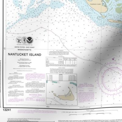 NOAA Nantucket Island nautical chart #13241 *soundings too small to read* 21x17.5" (fits on a FQ)