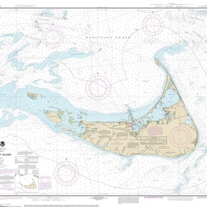 NOAA Nantucket Island nautical chart #13241, 42x35" (fits on a yard)