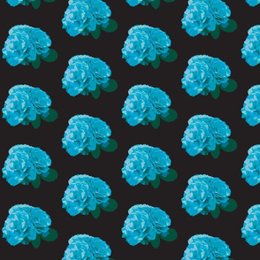 ROSES_DOUBLY-blue