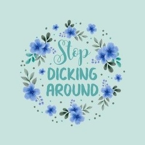 4" Embroidery Hoop Circle Stop Dicking Around Funny Sweary Adult Humor for Wall Art or Quilt Square