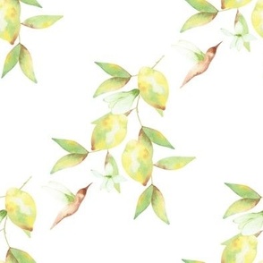 Lemons & hummingbird white