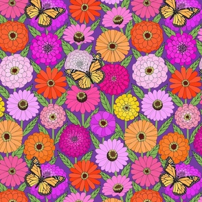 multicolor zinnias with monarch butterflies on violet