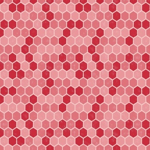 Variegated_Geometric_Honeycomb_-_Rose