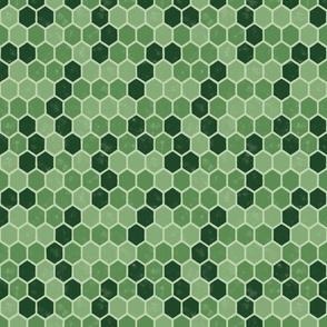 Variegated_Geometric_Honeycomb_-_Pine