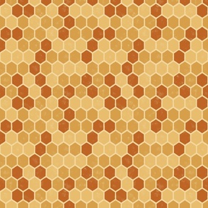 Variegated_Geometric_Honeycomb_-_Honey