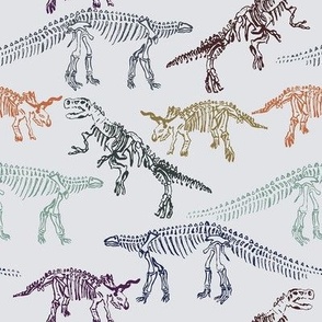 Dinosaur Skeletons Multi Coloured Medium