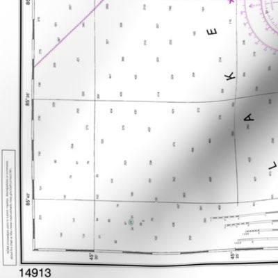 NOAA nautical chart #14913 - Grand Traverse and Little Traverse bays, northern Lake Michigan - 30x42" (sideways, fits a yard of narrow fabrics)