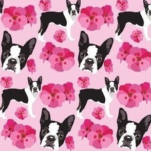 small scale // Boston Terrier Dogs small print Dog Fabric