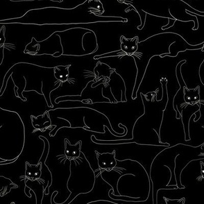 Quirky Cats - Feline Fanatic - Black and White
