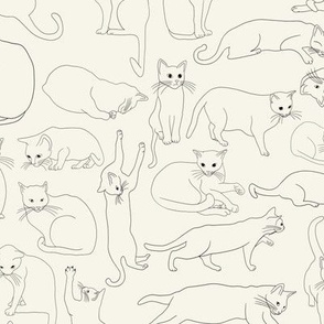 Quirky Cats - Feline Fanatic - Black & White