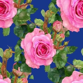 Pink Roses on Blue