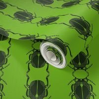 Coleoptera - small green