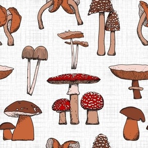 Mushroom Kingdom: A Pattern Illustration of Enchanting Fungi