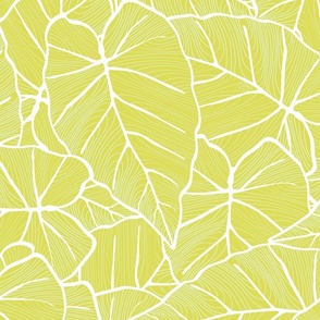 Nature inspired graphical linear pattern - soft colors and  tropical  - large scale 