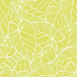 Nature inspired graphical linear pattern - soft colors and  tropical  - large scale 